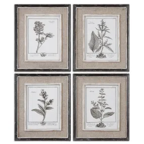 Uttermost Casual Grey Study Framed Art Set/4